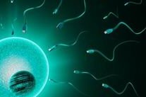 河北试管婴儿医院排行，哪家医院更适合你？