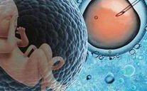 2026国内十大试管婴儿医院排名新鲜出炉