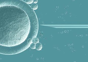 为什么说24岁女性做试管选择短方案不一定合适？