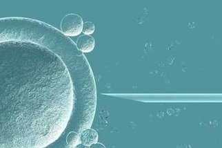 试管拮抗剂方案促排流程是怎样的？